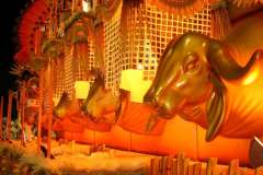 IMG_0060-1